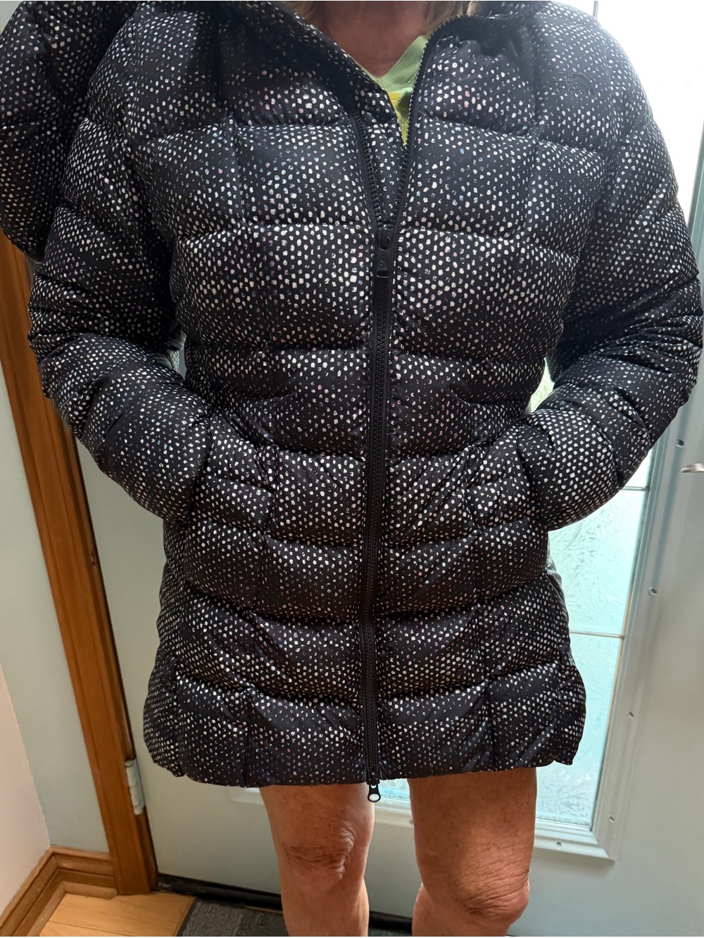 North face long puffer jacket